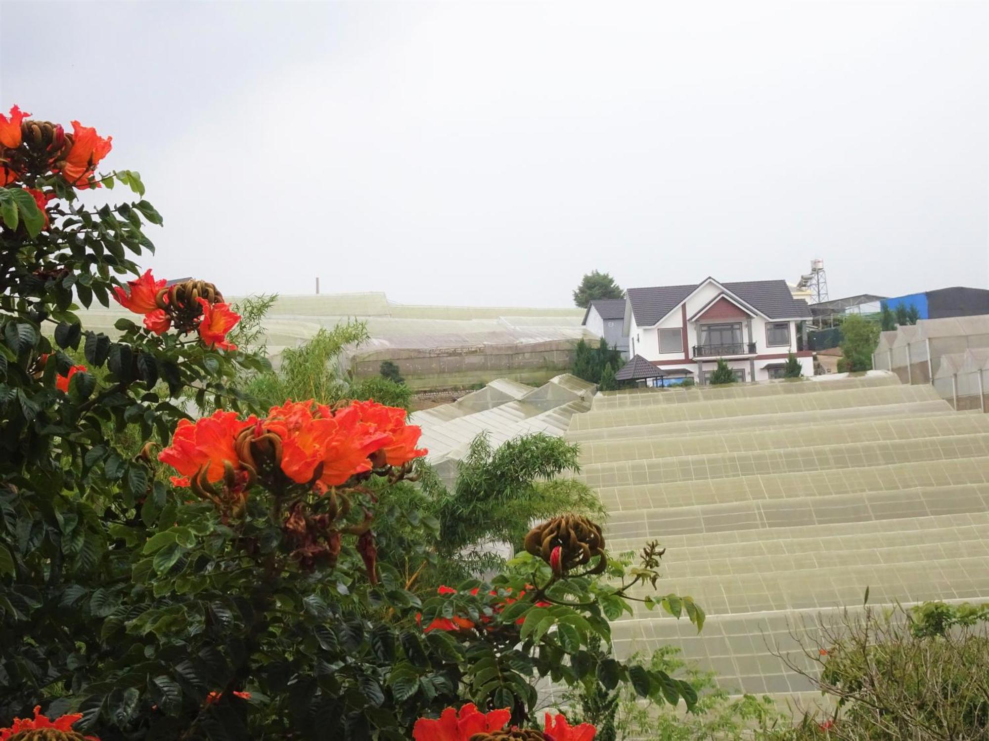 Mento Villa Dalat Exterior foto