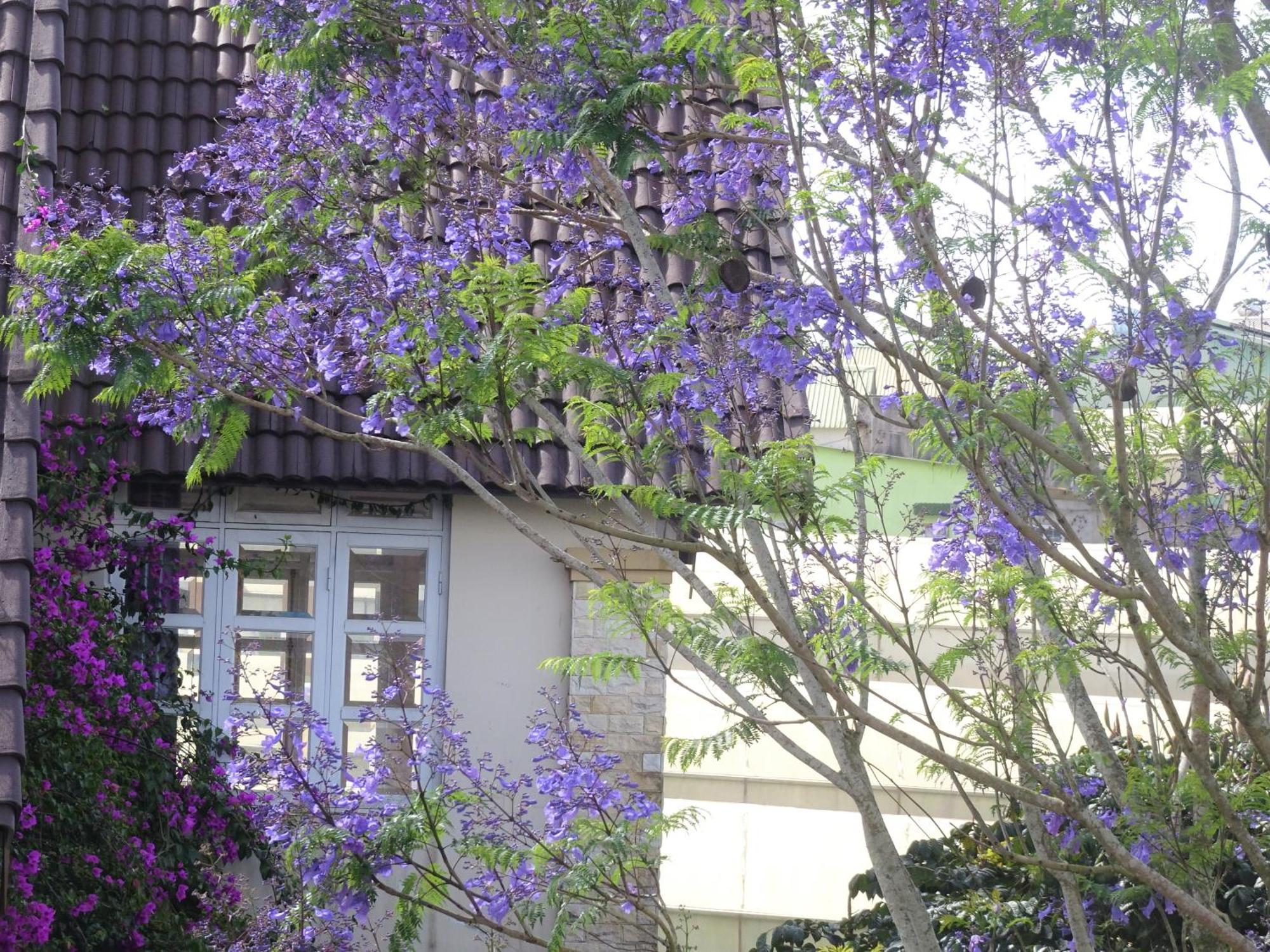 Mento Villa Dalat Exterior foto