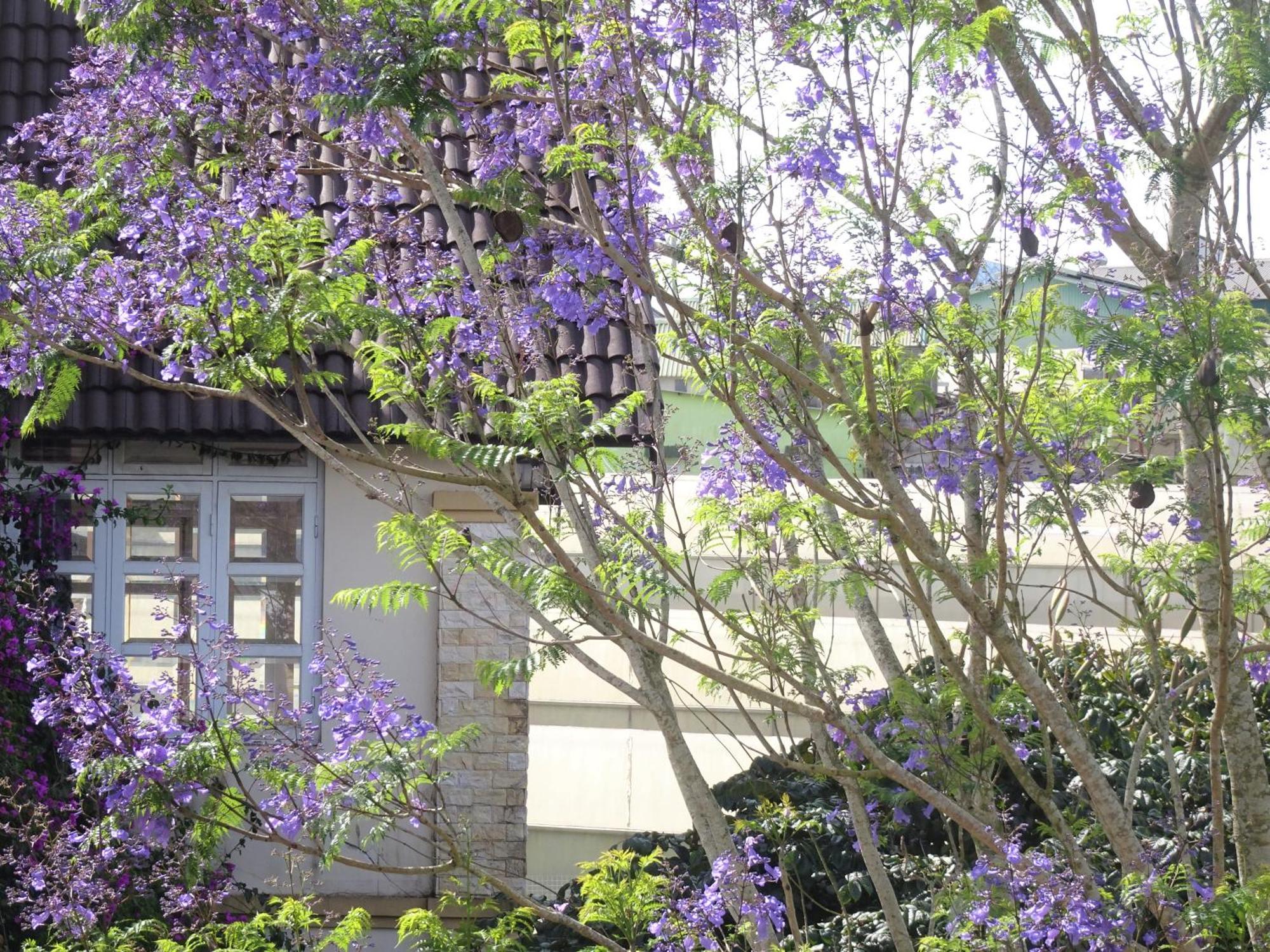 Mento Villa Dalat Exterior foto
