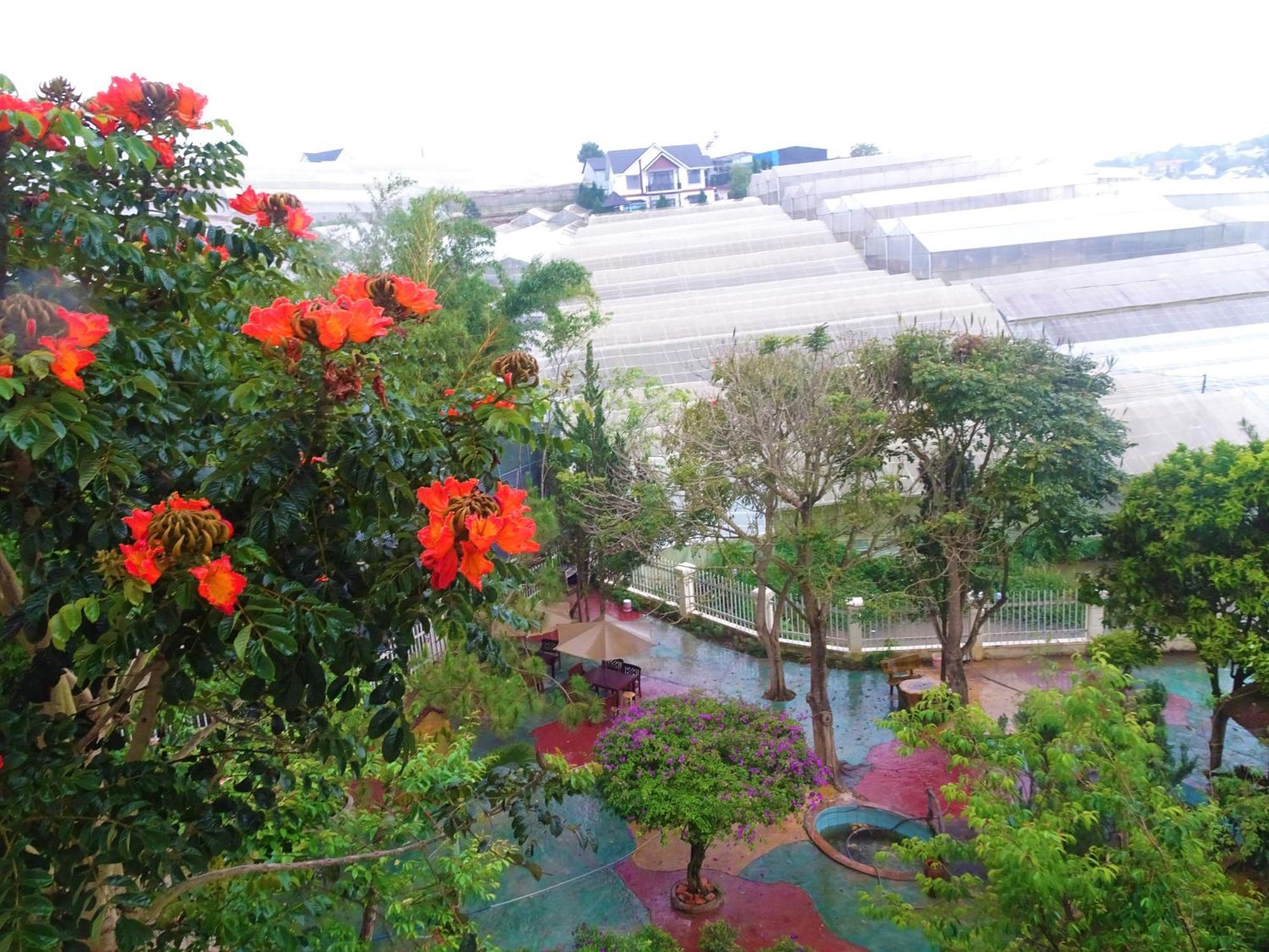 Mento Villa Dalat Exterior foto